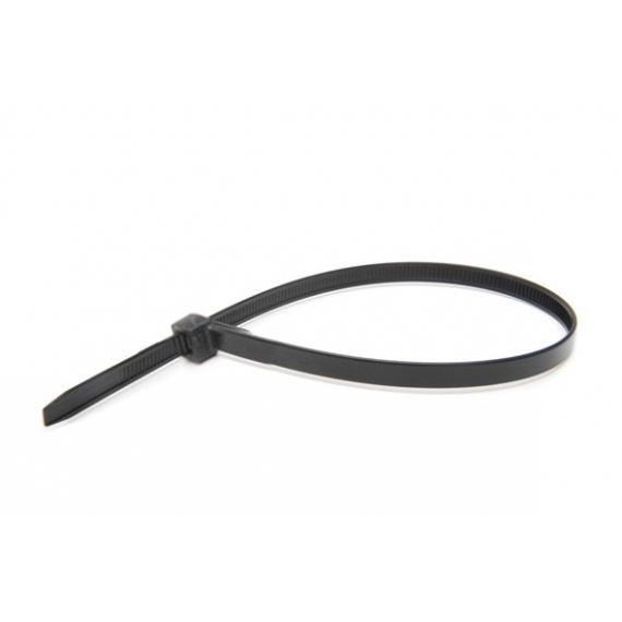 P0C2330020_R0-43 - nylon strap 2,5x100 black